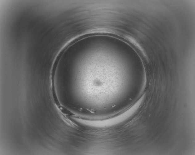 X0000068731372200605121507