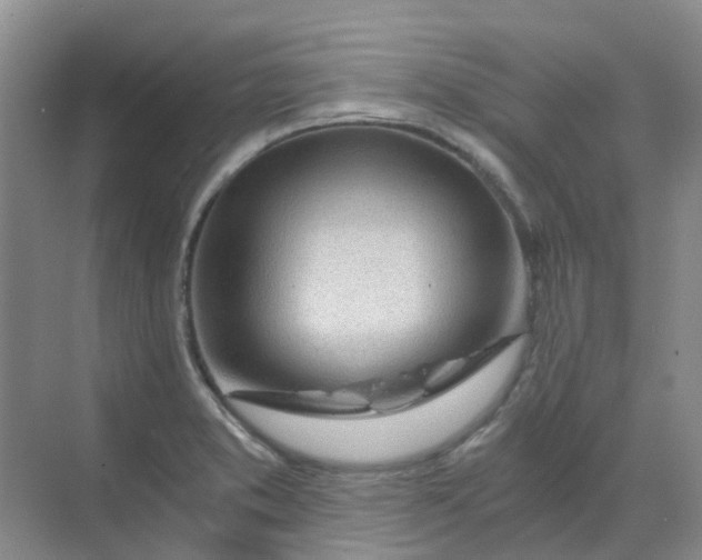 X0000068731373200605121507