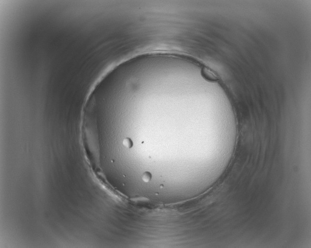 X0000068731374200605121507