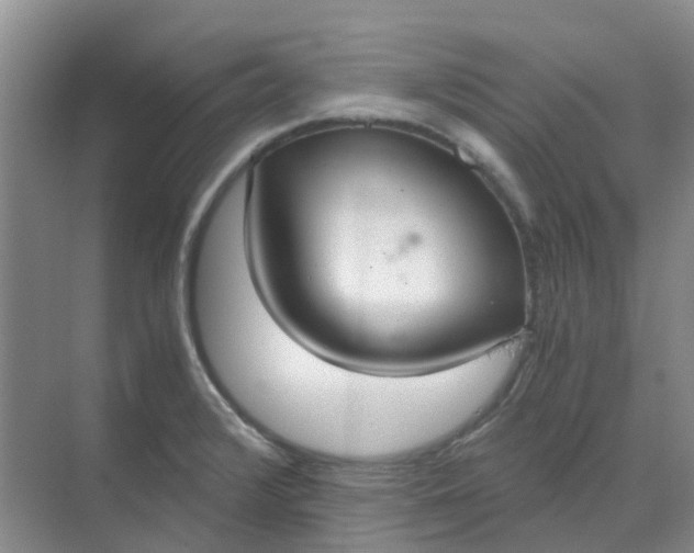 X0000068731376200605121507