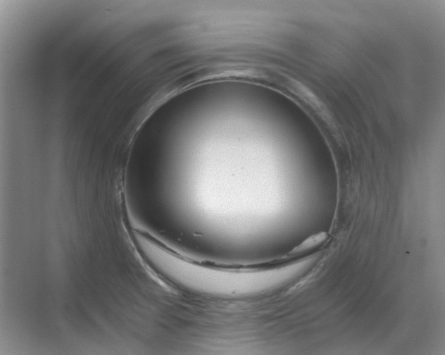 X0000068731377200605121507