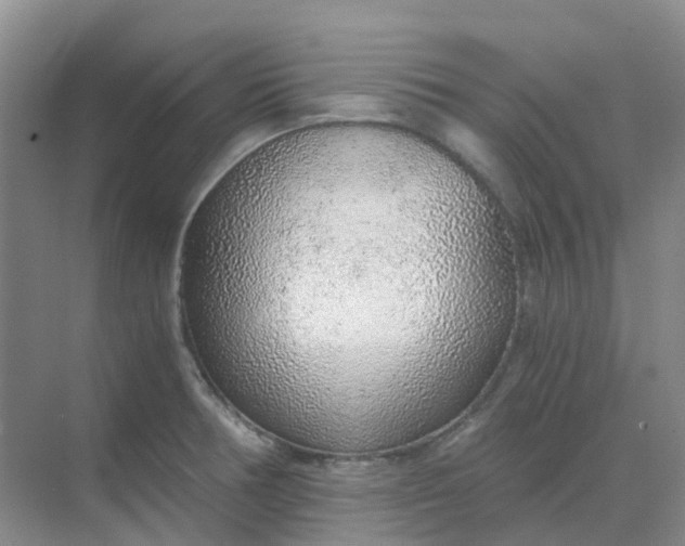 X0000068731378200605121507