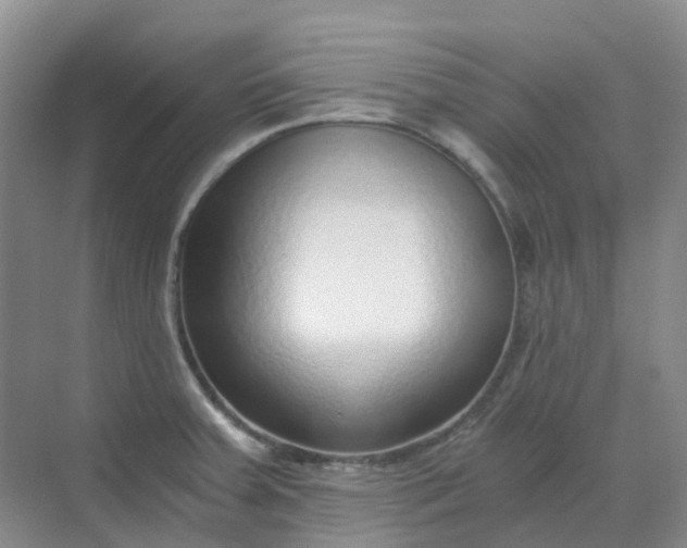 X0000068731379200605121507