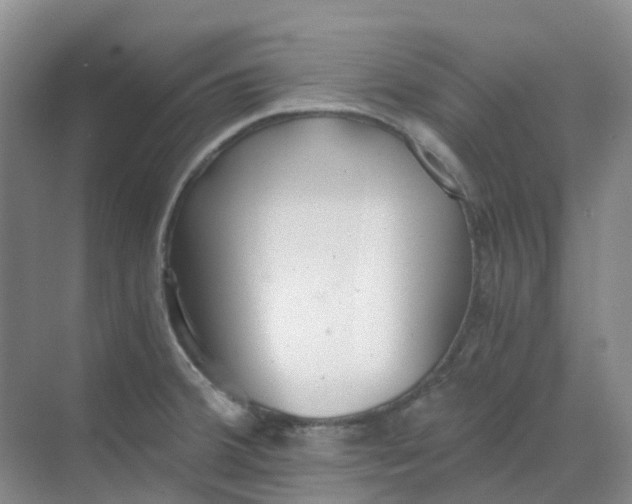 X0000068731380200605121507