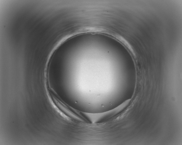 X0000068731381200605121507