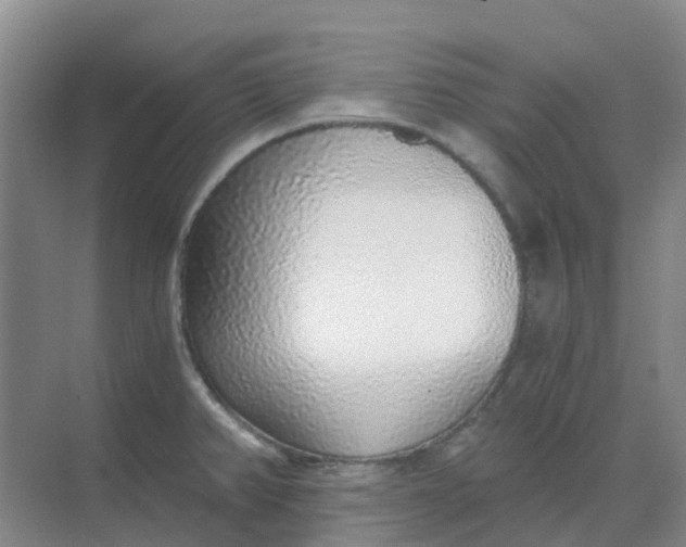 X0000068731382200605121507