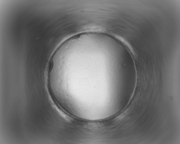 X0000068731383200605121507