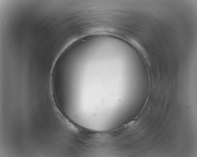 X0000068731384200605121507