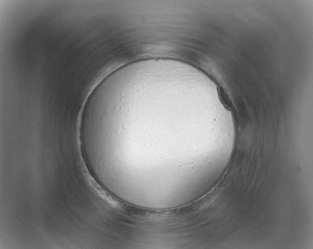 X0000068731386200605121507