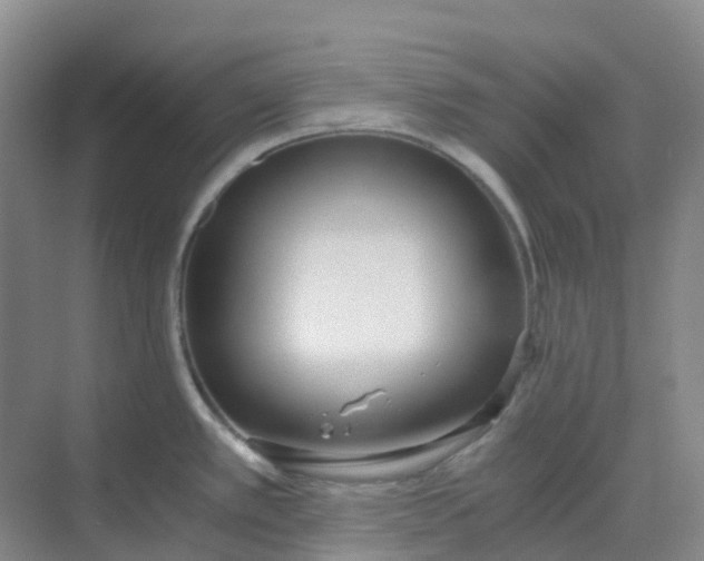 X0000068731389200605121507