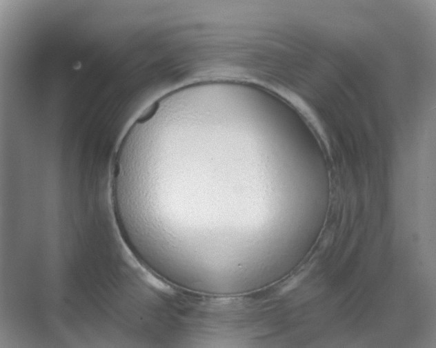 X0000068731390200605121507