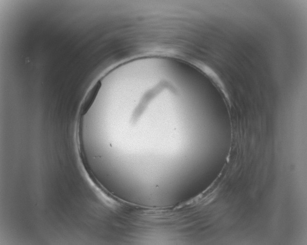 X0000068731391200605121506