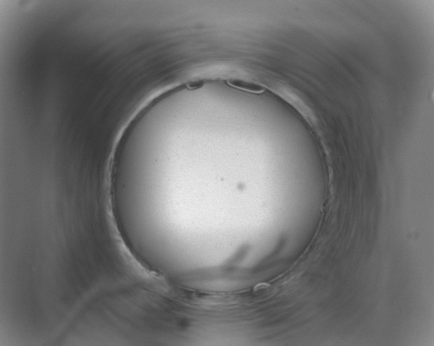 X0000068731392200605121506