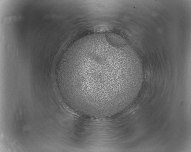 X0000068731393200605121506