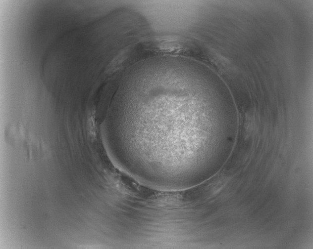 X0000068731394200605121506