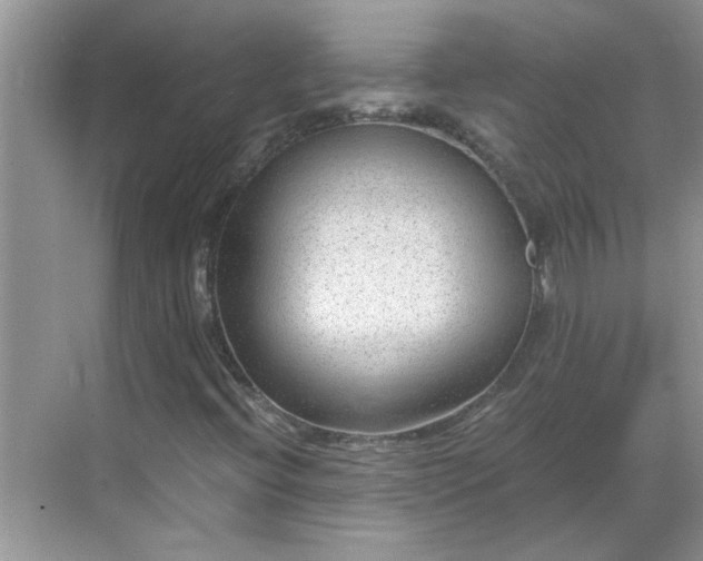 X0000068731396200605121506