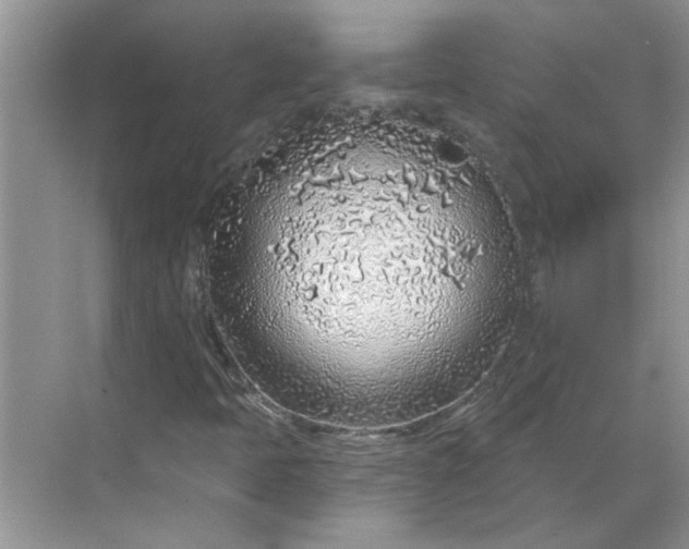 X0000068731397200605121506