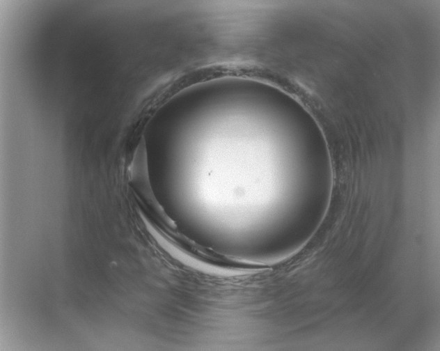 X0000068731398200605121506