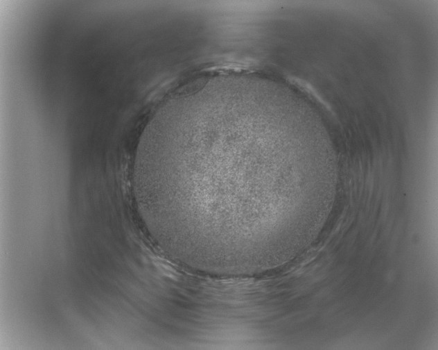 X0000068731399200605121506