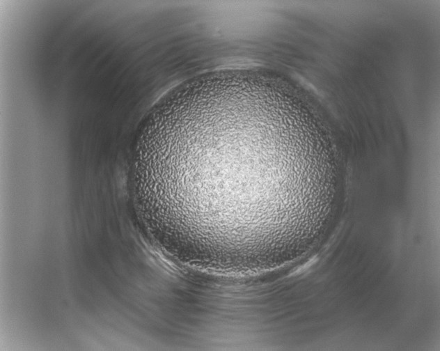 X0000068731401200605121506