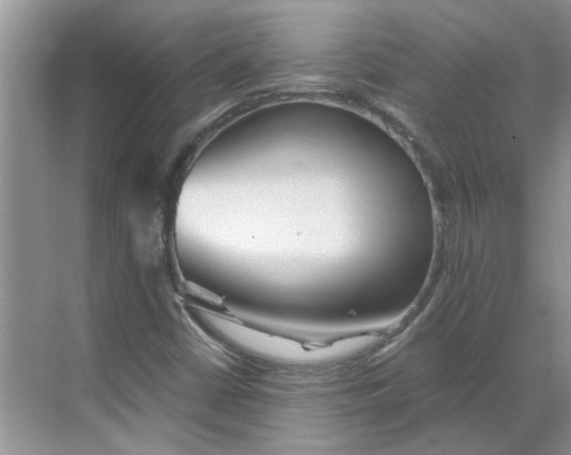 X0000068731402200605121506