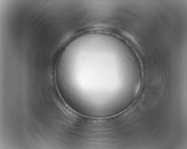 X0000068731403200605121506