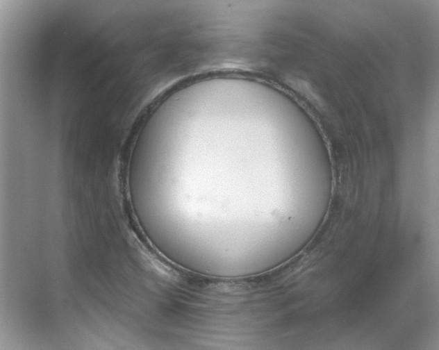 X0000068731404200605121506