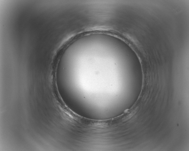 X0000068731406200605121506