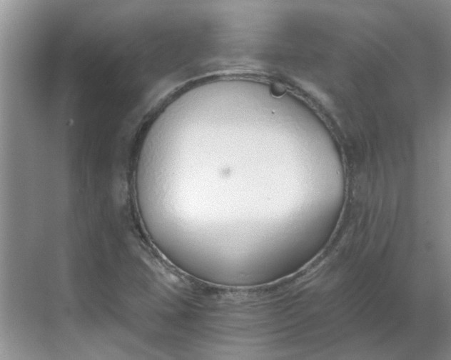 X0000068731407200605121506