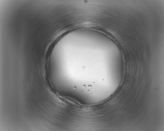 X0000068731410200605121506