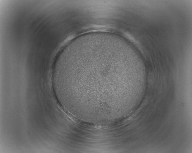 X0000068731411200605121506