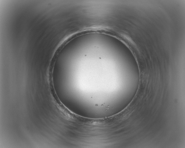 X0000068731412200605121506