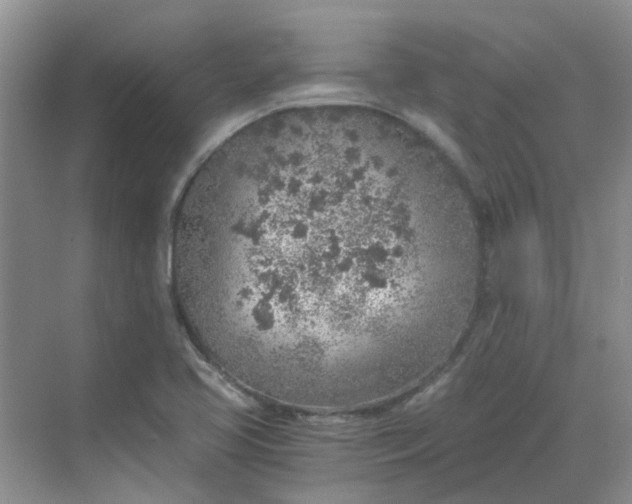 X0000068731413200605121506