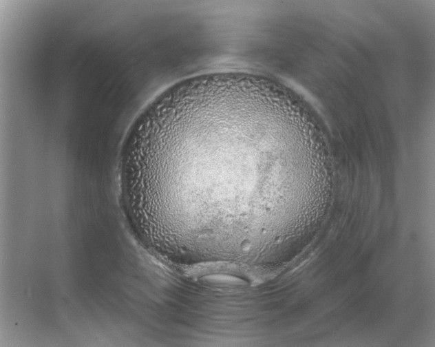 X0000068731415200605121506