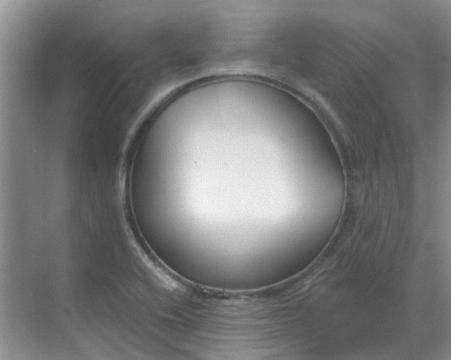 X0000068731416200605121506