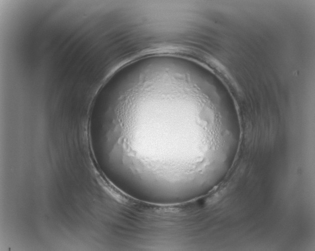 X0000068731417200605121506