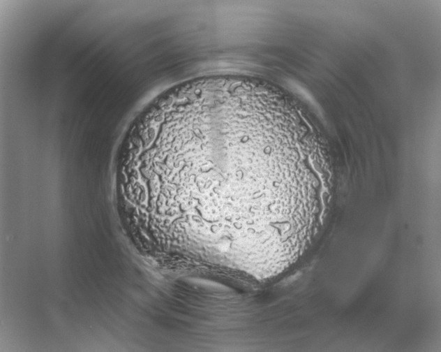 X0000068731419200605121506