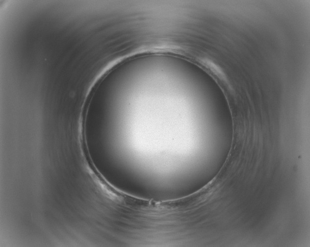 X0000068731420200605121506