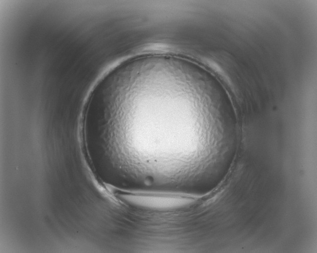 X0000068731421200605121506