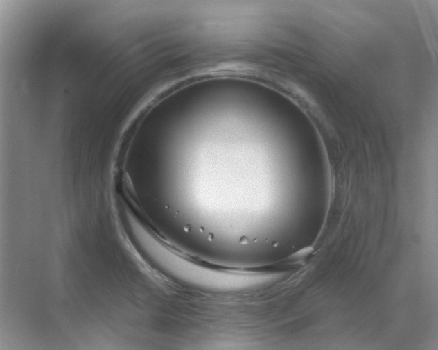 X0000068731422200605121506