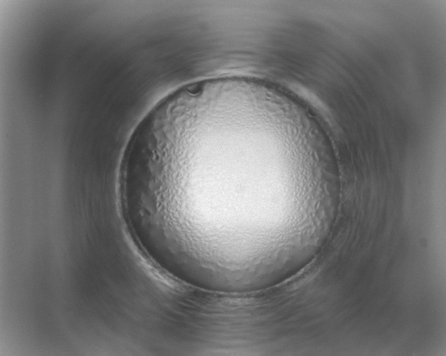 X0000068731423200605121506