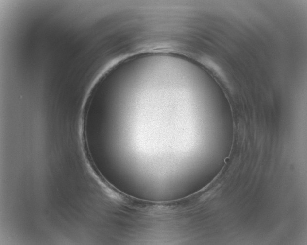 X0000068731424200605121506