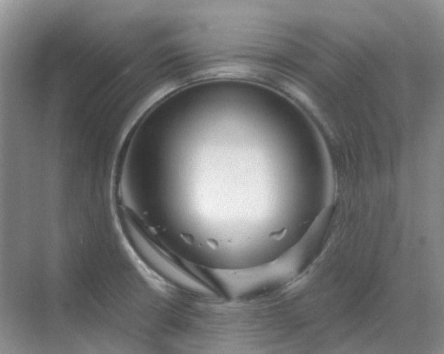 X0000068731426200605121506