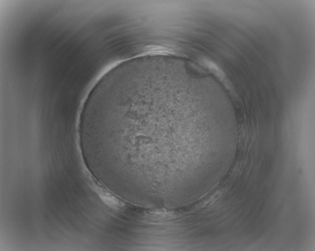 X0000068731427200605121506