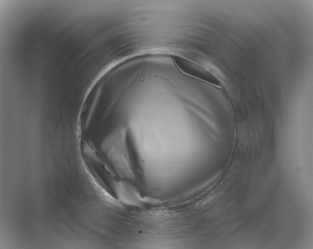 X0000068731428200605121506