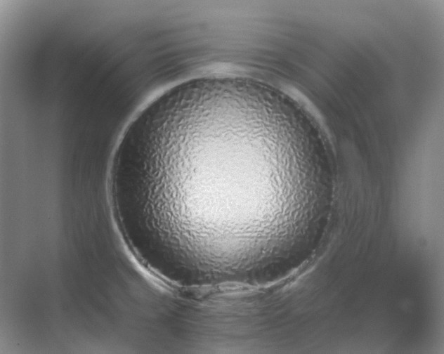 X0000068731429200605121506