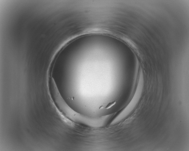 X0000068731430200605121506