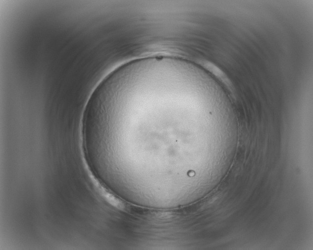 X0000068731431200605121506