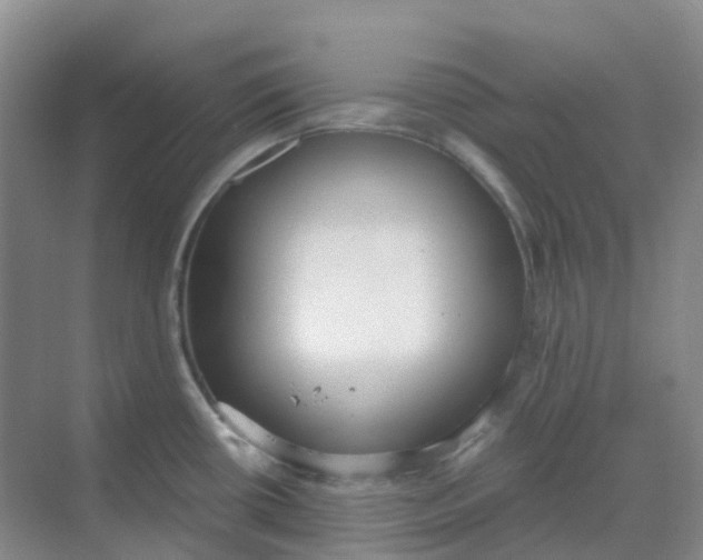 X0000068731434200605121506