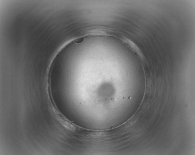 X0000068731435200605121506